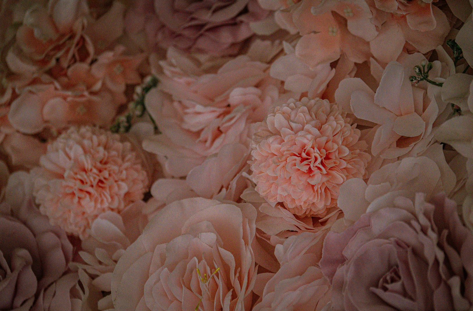 Closeup of blush flowers