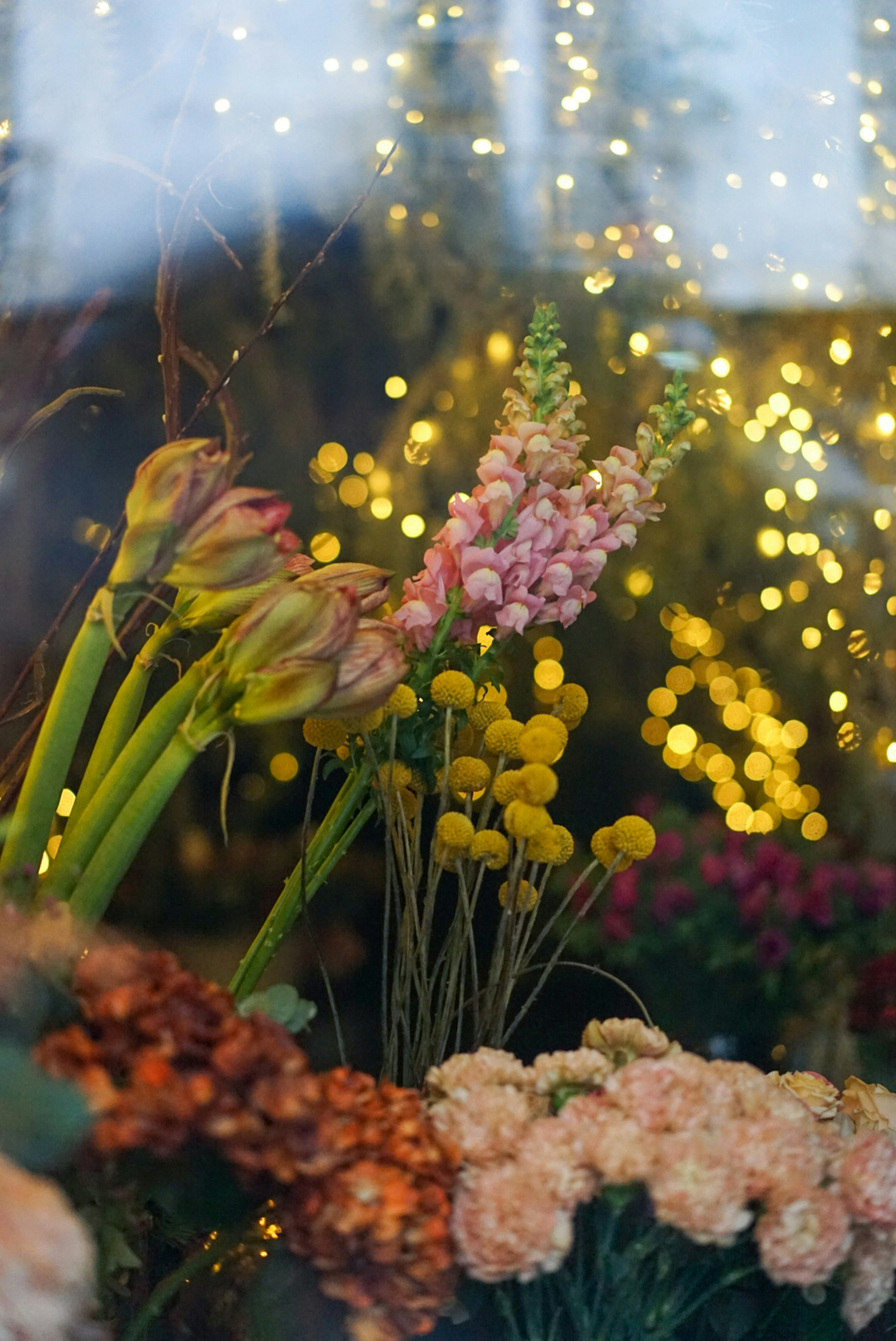 flowers and fireworks